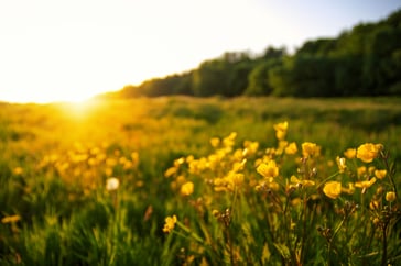 Best Idea Management Software of Spring 2025: HYPE Innovation Named G2 Leader